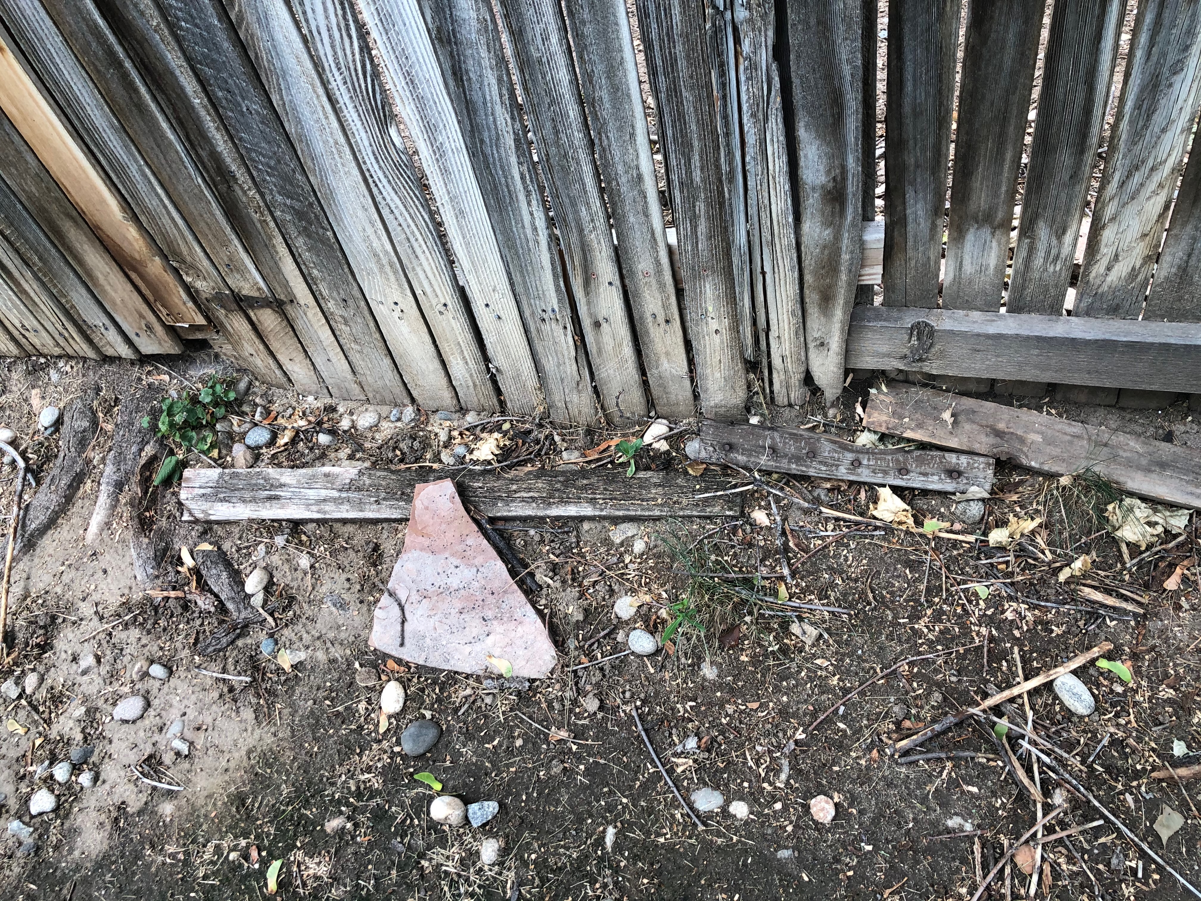 Oakland-Cir-issues-2020-24-356-of-669.jpeg