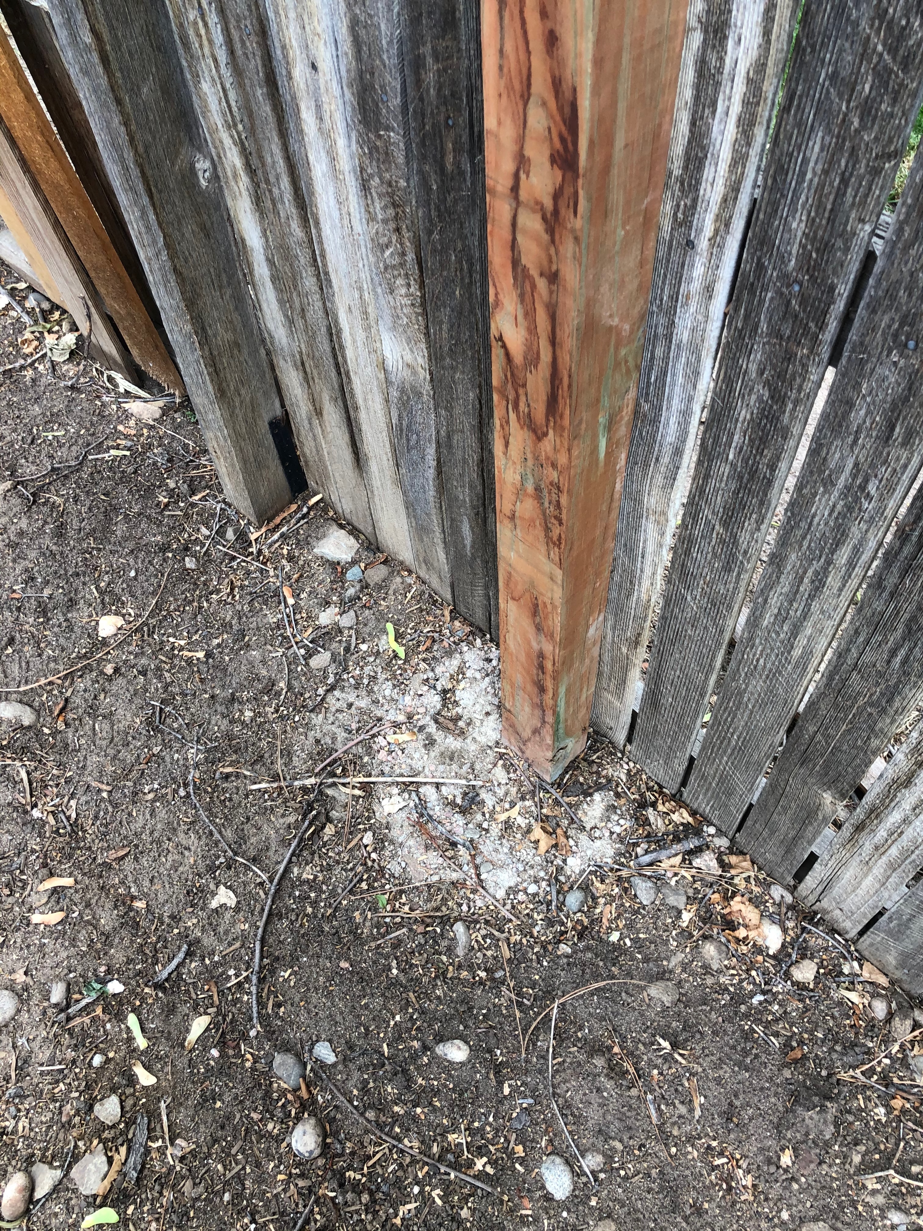 Oakland-Cir-issues-2020-24-467-of-669.jpeg