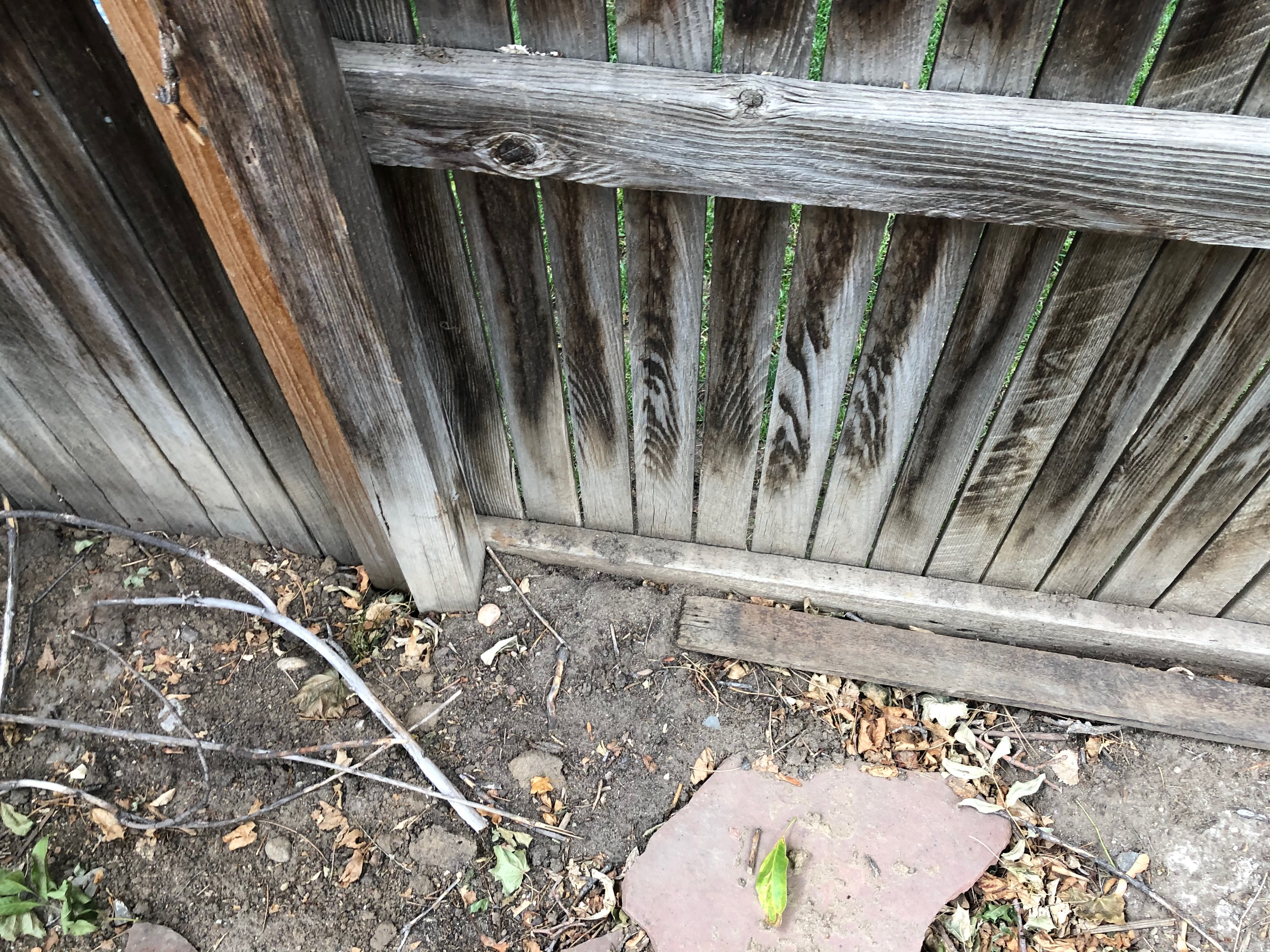 Oakland-Cir-issues-2020-24-501-of-669.jpeg