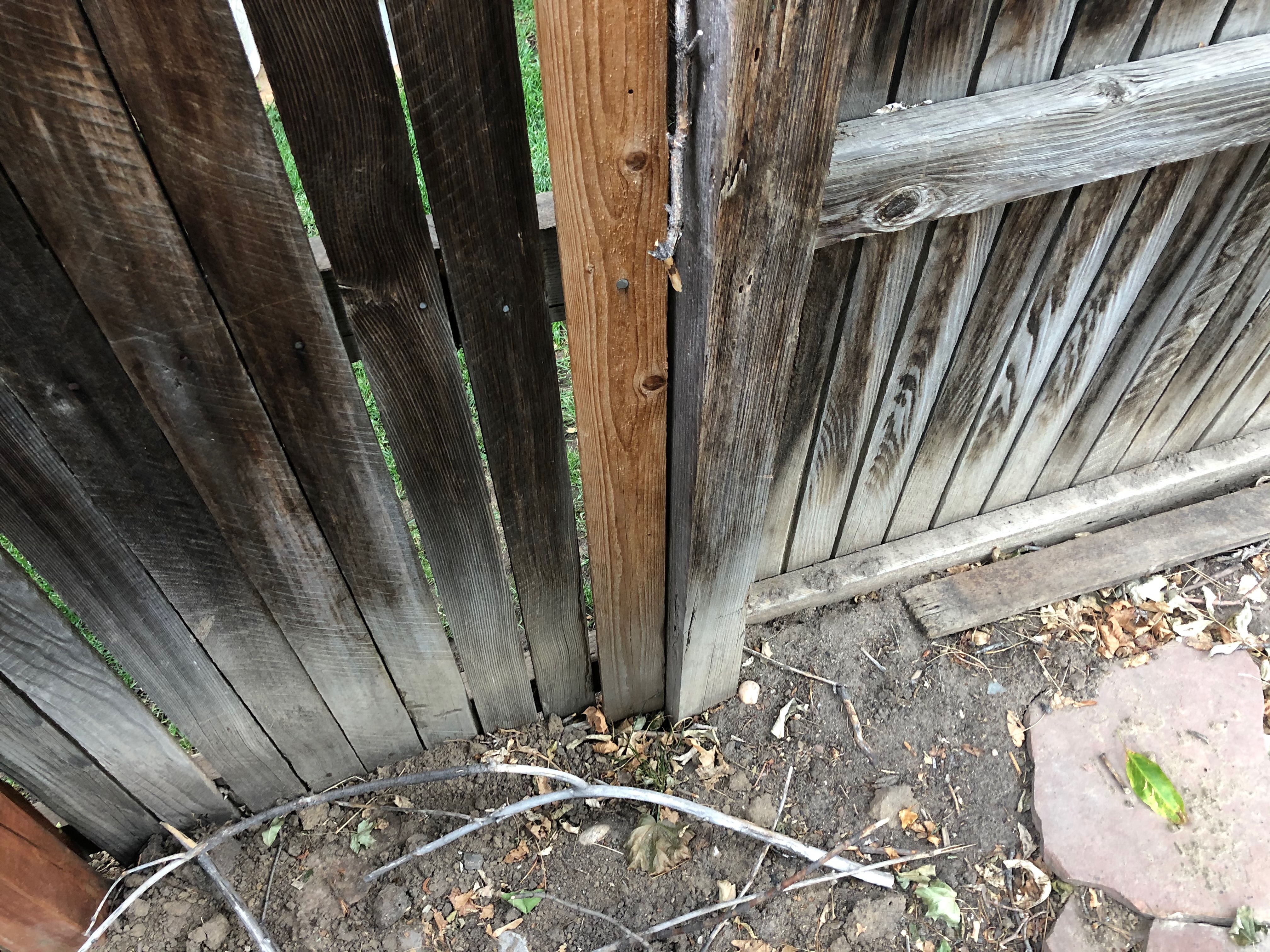 Oakland-Cir-issues-2020-24-505-of-669.jpeg